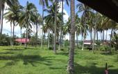 Туры в отель The Village Langkawi