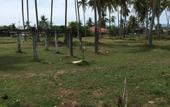 Туры в отель The Village Langkawi