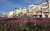 Туры в отель Sleep in Dalat Hostel