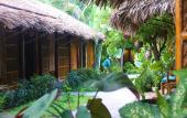 Туры в отель Under the coconut tree - Hostel
