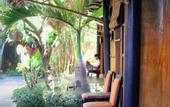 Туры в отель Under the coconut tree - Hostel