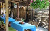 Туры в отель Under the coconut tree - Hostel