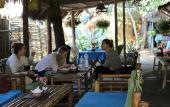 Туры в отель Under the coconut tree - Hostel
