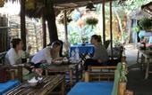 Туры в отель Under the coconut tree - Hostel