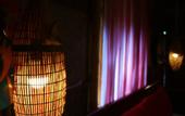 Туры в отель Under the coconut tree - Hostel