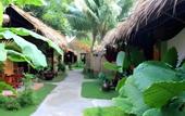 Туры в отель Under the coconut tree - Hostel