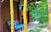 Туры в отель Under the coconut tree - Hostel