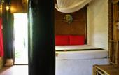 Туры в отель Under the coconut tree - Hostel