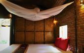 Туры в отель Under the coconut tree - Hostel