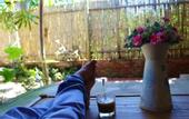 Туры в отель Under the coconut tree - Hostel