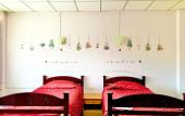 Туры в отель Coop Dopa Hostel