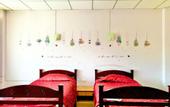 Туры в отель Coop Dopa Hostel