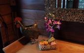 Туры в отель Rice Barn and Rooms