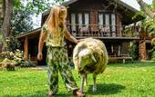 Туры в отель Rice Barn and Rooms