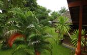 Туры в отель Rice Barn and Rooms