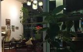 Туры в отель Nordwind Hotel