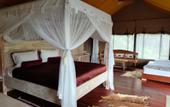 Туры в отель Sang Giri Mountain Tent Resort