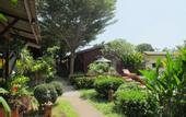 Туры в отель Phuket Siam Villas