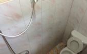 Туры в отель Coco's Guesthouse