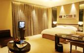 Туры в отель Luxemon Xinjiang Yindu Hotel