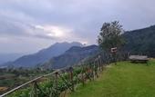 Туры в отель Hill Safari Eco Lodge