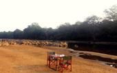 Туры в отель Explorer by Eco Team - Wasgamuwa National Park