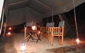 Туры в отель Explorer by Eco Team - Wasgamuwa National Park