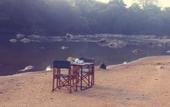 Туры в отель Explorer by Eco Team - Wasgamuwa National Park