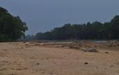 Туры в отель Explorer by Eco Team - Wasgamuwa National Park