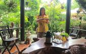 Туры в отель Terra Cotta Homestay and Hostel