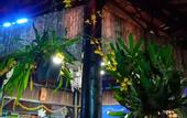 Туры в отель Terra Cotta Homestay and Hostel