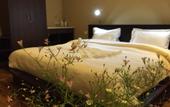 Туры в отель Panorama Green View Hotel