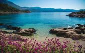 Туры в отель Blanca Beach Hotel