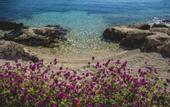 Туры в отель Blanca Beach Hotel