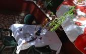 Туры в отель Shila Tatil Koyu