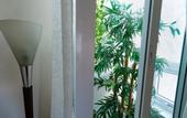 Туры в отель Flora Hotel Hue