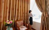 Туры в отель Flora Hotel Hue