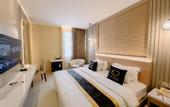 Туры в отель El Cavana Hotel