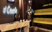 Туры в отель El Cavana Hotel