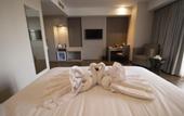 Туры в отель Tara Hotel Yogyakarta