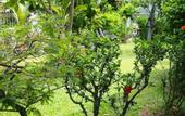 Туры в отель Villa Lamai - Wong Amat House Pattaya