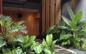 Туры в отель 5ive Beach House Hotel