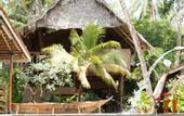 Туры в отель Ziwa Beach Resort