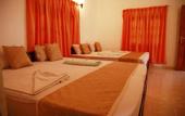Туры в отель Cottage Tourist Rest