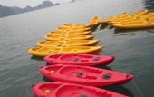 Туры в отель Phoenix Luxury Cruise Halong