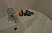 Туры в отель Tamarind Twin Resort