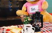Туры в отель The Siri Place