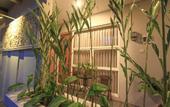 Туры в отель Bali True Living Apartment
