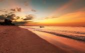 Туры в отель Amazing Beach Resort - Palu
