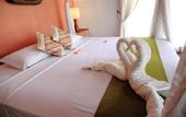 Туры в отель Puri Taman Sari Hotel